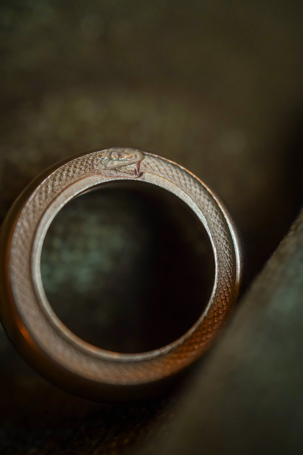 Siegel-Zwischenring Ouroboros – Abbildung 2