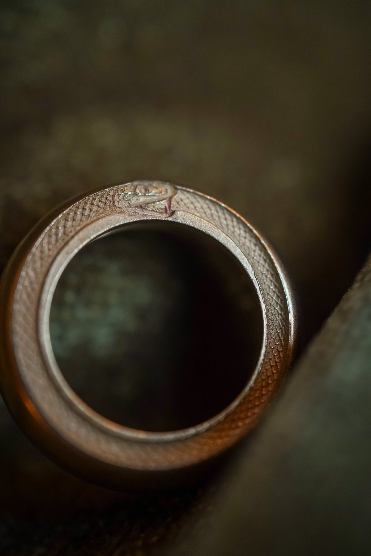 Siegel-Zwischenring Ouroboros – Abbildung 2